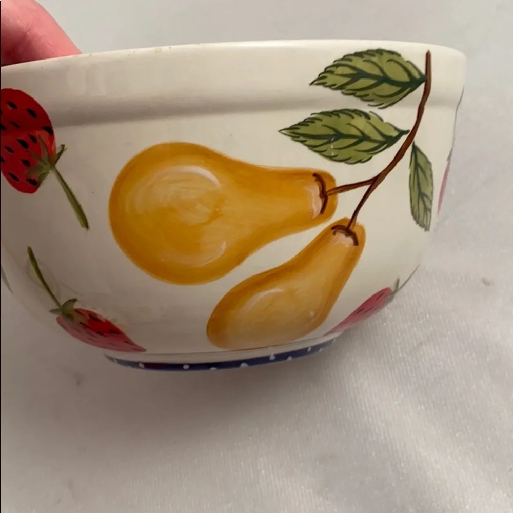 Zrike Fruit Medley multicolor pear and apple graphic ceramic bowls (4)